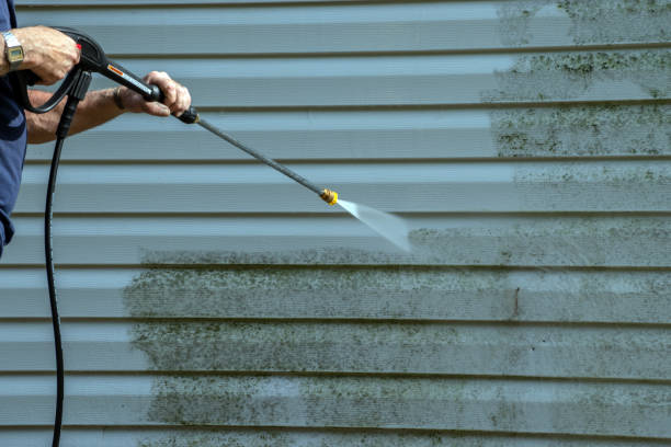 Best Sidewalk and Walkway Cleaning  in Lutz, FL