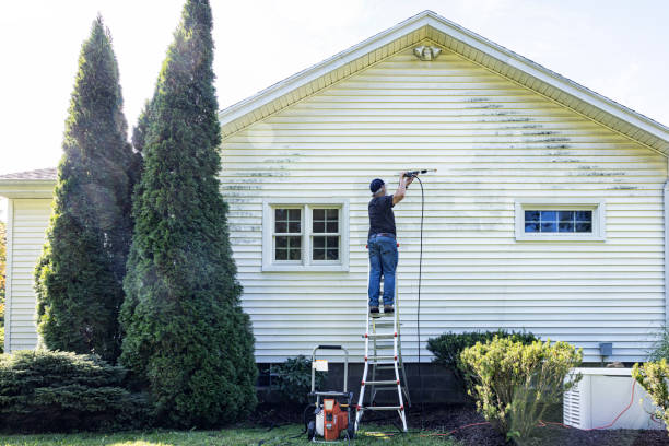 Reliable Lutz, FL Pressure Washing Services Solutions